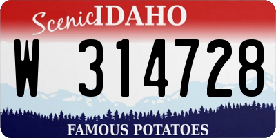 ID license plate W314728