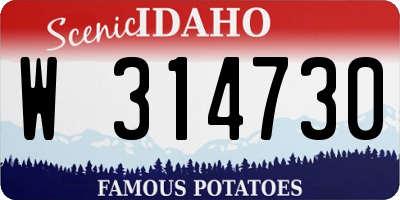 ID license plate W314730