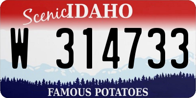 ID license plate W314733