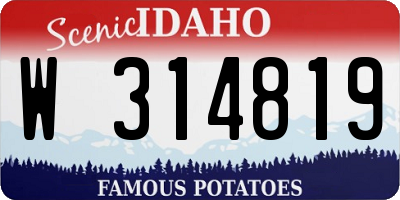 ID license plate W314819