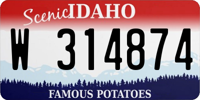 ID license plate W314874