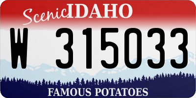 ID license plate W315033