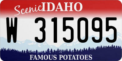 ID license plate W315095