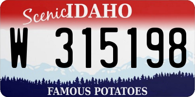 ID license plate W315198