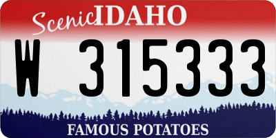 ID license plate W315333