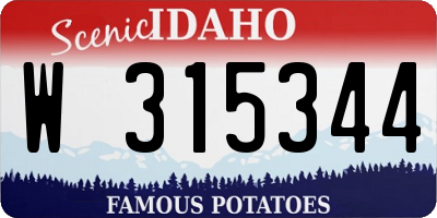ID license plate W315344