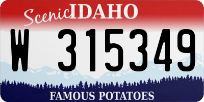 ID license plate W315349