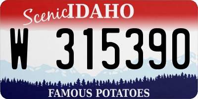 ID license plate W315390