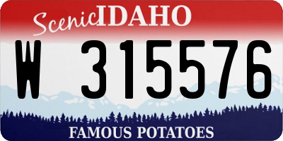 ID license plate W315576