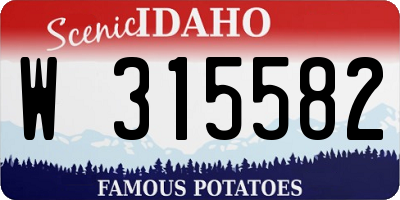 ID license plate W315582