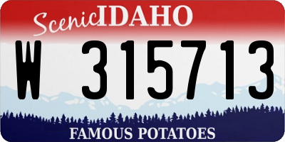 ID license plate W315713