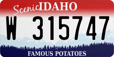ID license plate W315747