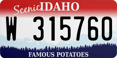 ID license plate W315760