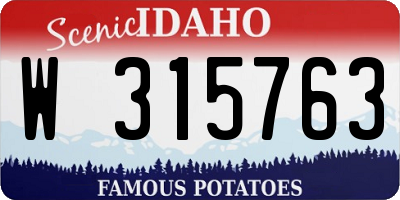 ID license plate W315763