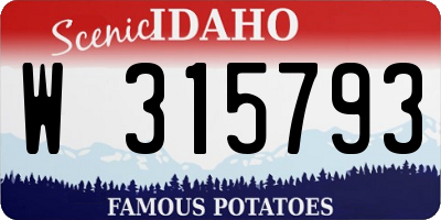 ID license plate W315793