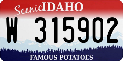 ID license plate W315902