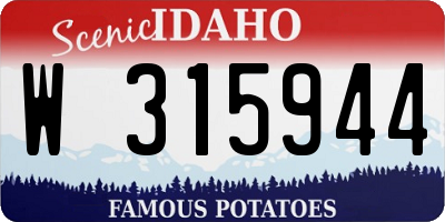 ID license plate W315944