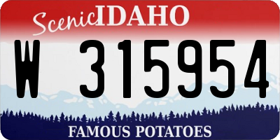ID license plate W315954
