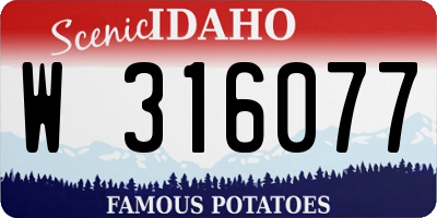 ID license plate W316077