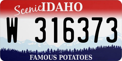 ID license plate W316373
