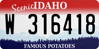 ID license plate W316418