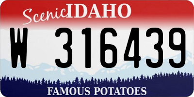 ID license plate W316439