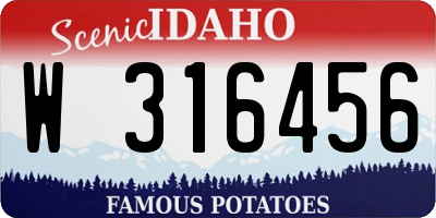 ID license plate W316456