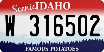 ID license plate W316502