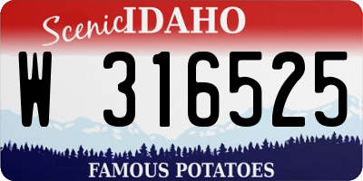 ID license plate W316525