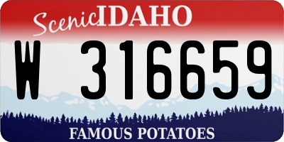 ID license plate W316659