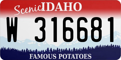ID license plate W316681