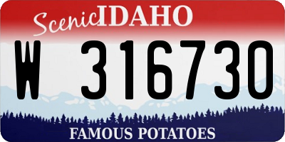 ID license plate W316730