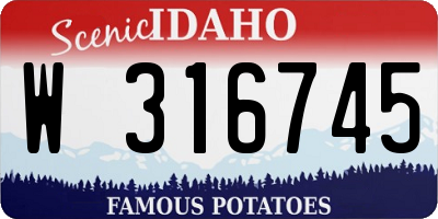 ID license plate W316745