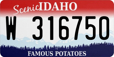 ID license plate W316750