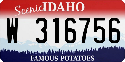 ID license plate W316756