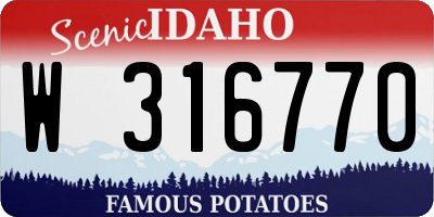 ID license plate W316770