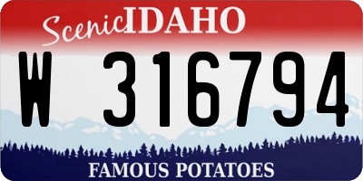 ID license plate W316794