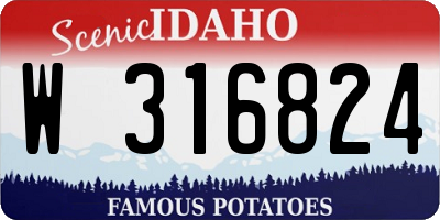 ID license plate W316824