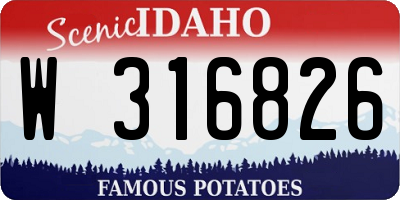 ID license plate W316826