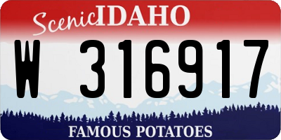 ID license plate W316917