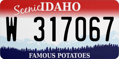 ID license plate W317067