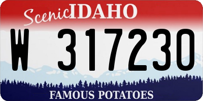 ID license plate W317230