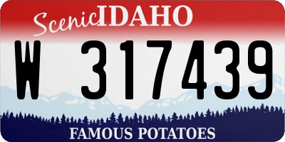 ID license plate W317439