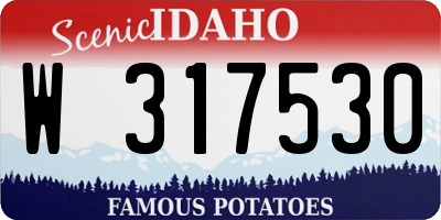 ID license plate W317530