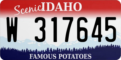 ID license plate W317645