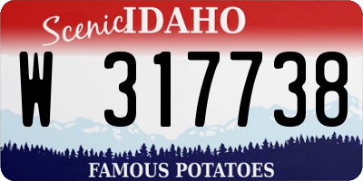 ID license plate W317738
