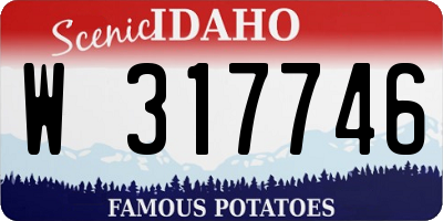 ID license plate W317746