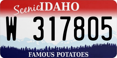 ID license plate W317805