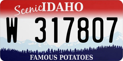 ID license plate W317807