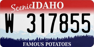 ID license plate W317855